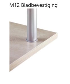 M12 bladbevesting 1