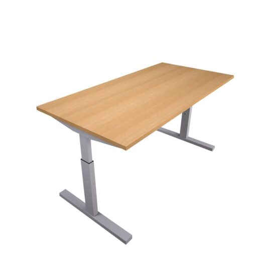 Pinta instelbaar bureau