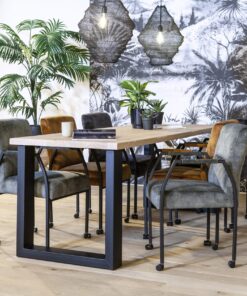 denver albany scaled 1