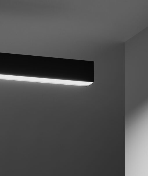 Light Lines 1690