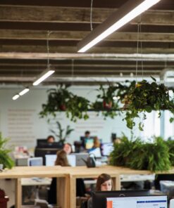 Deblick Lighting Light Lines 5 scaled